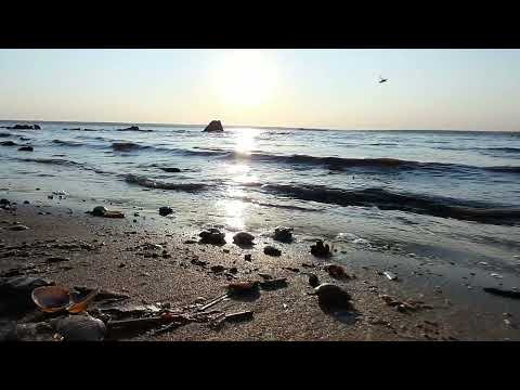 Экскурсия до посёлка ЛПК,к Волге .