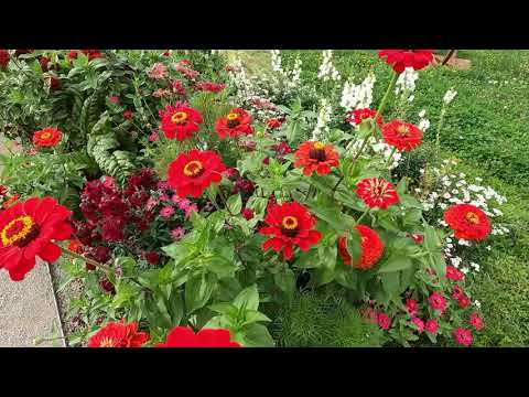 Blumenflor der Wege im Kulturgarten der LGS Fulda im August