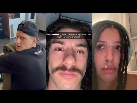 TikToks that radiate weed energy [#36] - Fatally Stoned