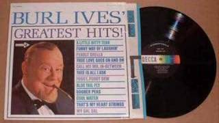 CALL ME MR. IN-BETWEEN by BURL IVES