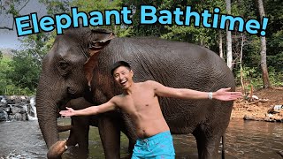 Inside Cambodia's Oldest Elephant Sanctuary | Mondulkiri Project