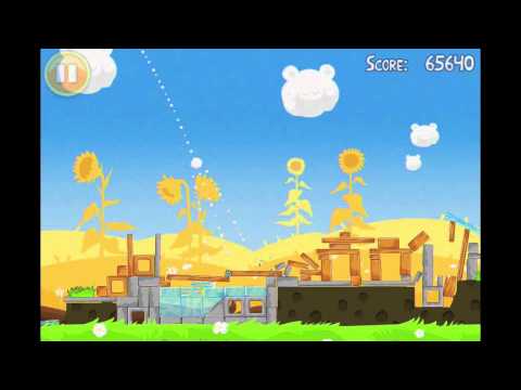 Angry Birds Seasons Summer Pignic Level 2 Walkthrough 3 Star