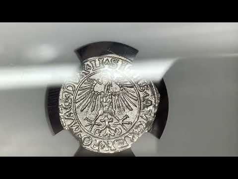 Zygmunt II August, Półgrosz Wilno 1550 - PIĘKNY