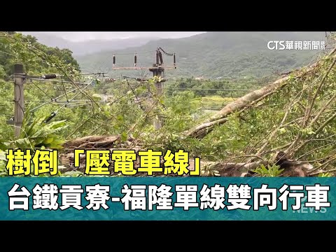 樹倒「壓電車線」　台鐵貢寮-福隆一度單線雙向行車