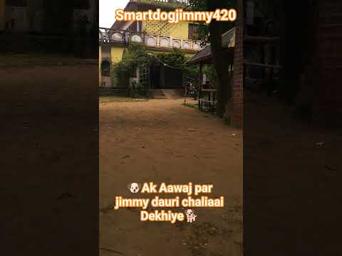 #Dekhiye dosto meri  #SmartDog #jimmy ka Kamal  #jimmy K liye #Ak Like to banta ha.