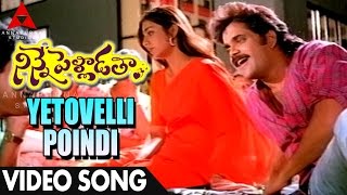 Yetovelli Poindi Manasu Video Song - Ninne Pelladatha Movie - Nagarjuna,Tabu