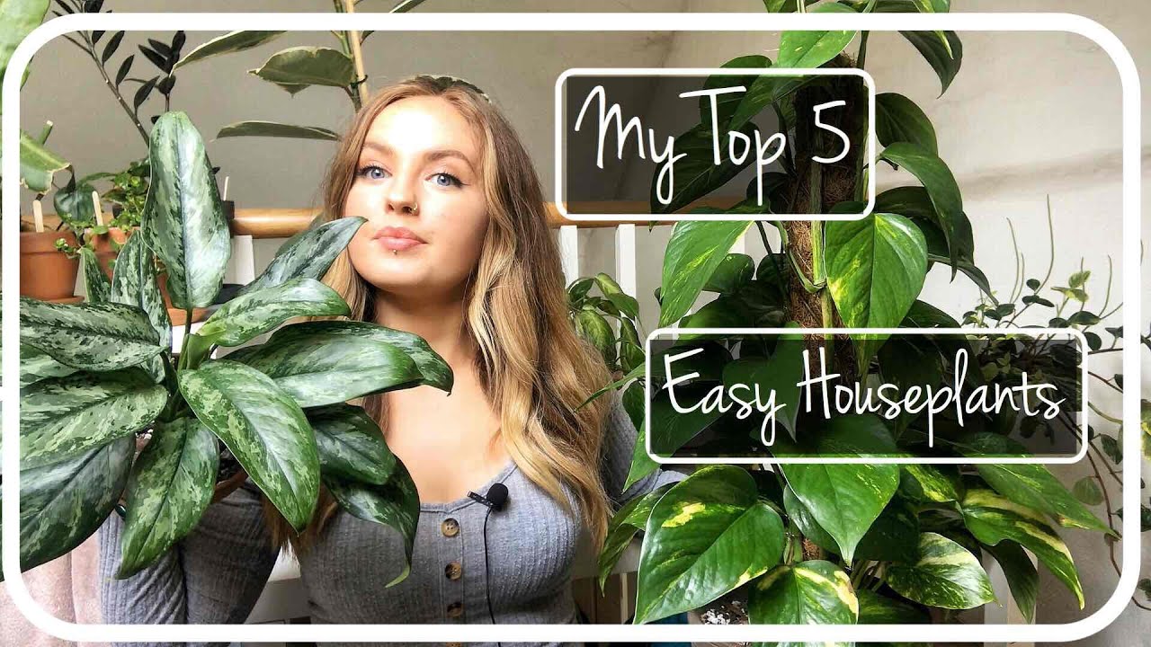 My Top 5 Easy Houseplants