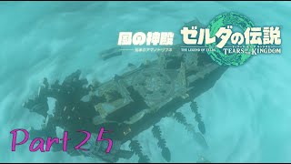 正規の攻略どこいった？？？？？？？-ゼルダの伝説 Tears of the Kingdom -part25-