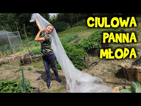 ROBOTY w CIUL❗❗❗ A ręce tylko 4. Czy to nas wykończy❓❓❓