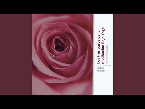 Conexión Con el Ser Supremo