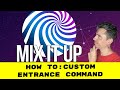 CUSTOM ENTRANCE COMMAND WITH MIXITUP