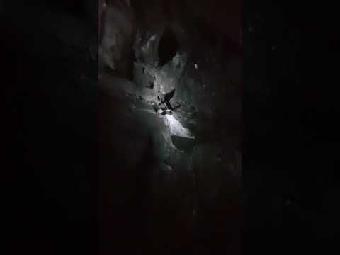 The worlds best chromium body.