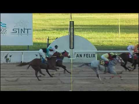 210204 c08 1° SOUTHERN THOIA - SINT - PAYSANDU