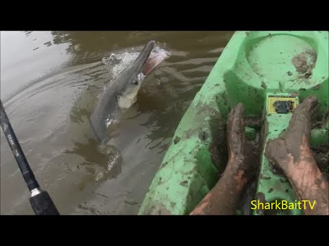 KAYAK FISHING 2 BIG Alligator Gar Landed Back To Back