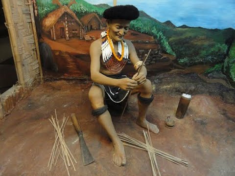 Living with Nature (in Nagaland) by Benoy K Behl.