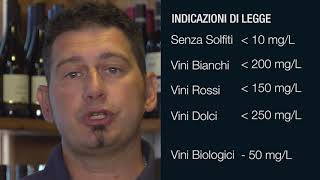 cosa significa la dicitura "contiene solfiti"