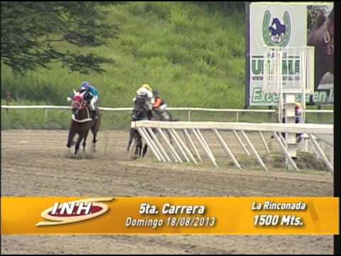 5ta carrera domingo 18 de agosto 2013