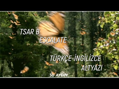 Tsar B - Escalate Lyrics (Türkçe-İngilizce)