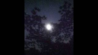 Number One Fan - Come On