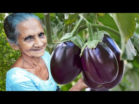 Eggplant Coconut Milk Curry