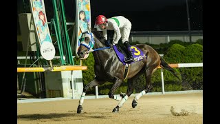【佐賀競馬】第4回 鳥栖大賞（2025.10.5）