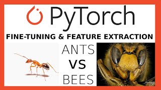 PyTorch Transfer Learning with a ResNet - Tutorial