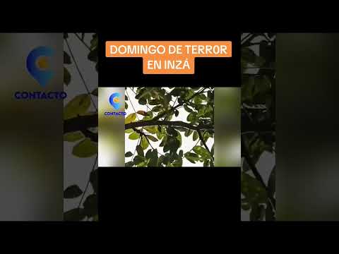 DOMINGO DE TERR0R EN INZÁ