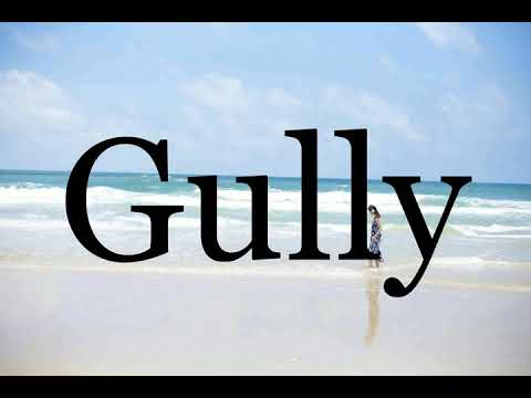 How To Pronounce Gully🌈🌈🌈🌈🌈🌈Pronunciation Of Gully