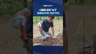 사흘째 감감 '늑구'‥'딥페이크'에 '코인'까지‥ #Shorts (MBC뉴스)