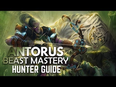 WoW - Legion Beast Mastery Hunter BASIC Antorus Guide (Patch 7.3.5)