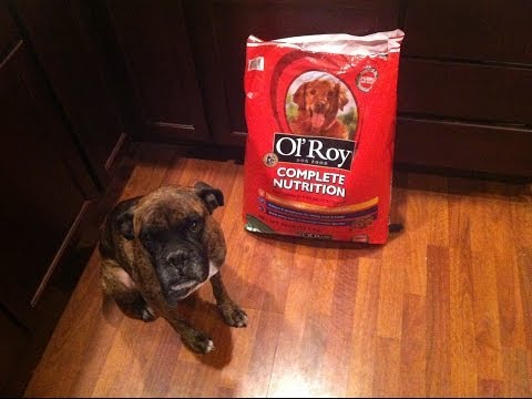 YouTube video about: Where to buy ol roy dog food?