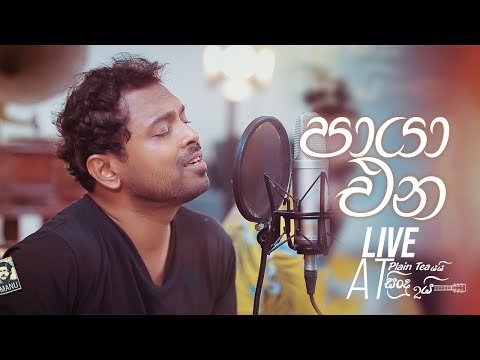 Paya Ena Sandawatha ( පායා එන සඳවත ) - Santhush Weeraman |Live at Plain Teaයයි සින්දු දෙකයි