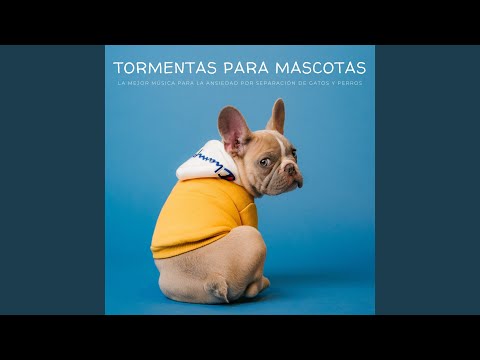 Amante De Los Animales - Musica para Mascotas
