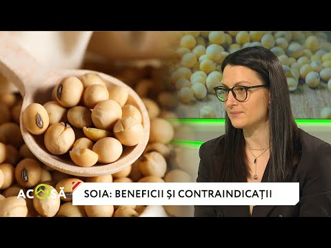 Soy - what benefits does it have, how and in what quantities to consume it, and who is it contrai...