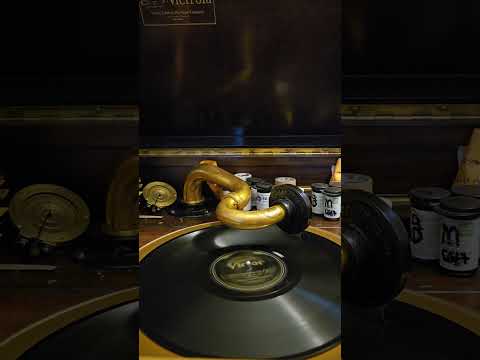 Somebody Stole My Gal - Ted Weems his Orchestra Victor Records #19212 1923