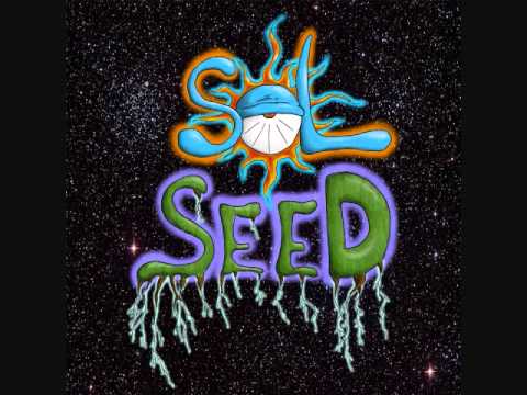 Winter Warmth - Sol Seed