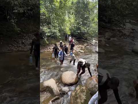 Sendero Cascada El Borugo El Paujil Caquetá   #colombia  #caquetá