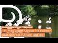 Sander Mag Weer: Faunapark Flakkee