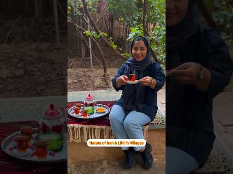 "Golak Banoo Eco-Lodge | A Unique Experience of Rural Life in Kashmar"