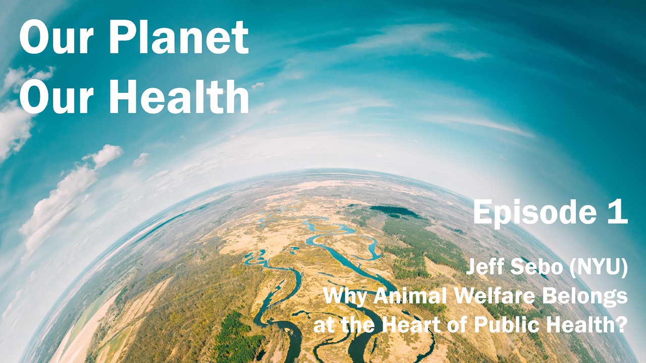 Why Animal Welfare Belongs at the Heart of Public Health?
