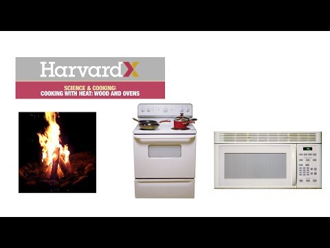 How heat affects food in cooking