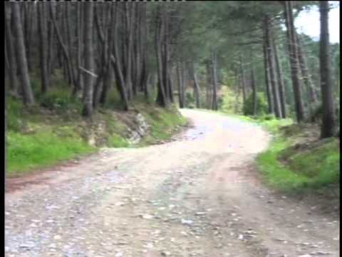 Sergio Talenti - Corpi e Luoghi