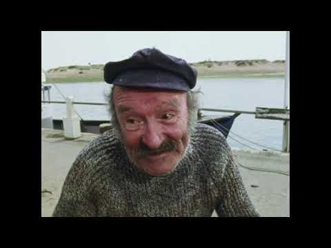 Fünf Freunde auf dem Leuchttum (1) Serie 2 Folge 10 ( Folge 23 )