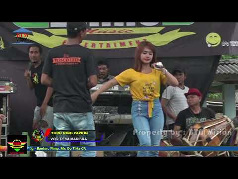 REVA MARISKA - TURU NING PAWON //Dj Naga Rawa //New Zerro Musik Entertainmen
