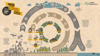 Sonae Indústria - "Wood Carbon Cycle"