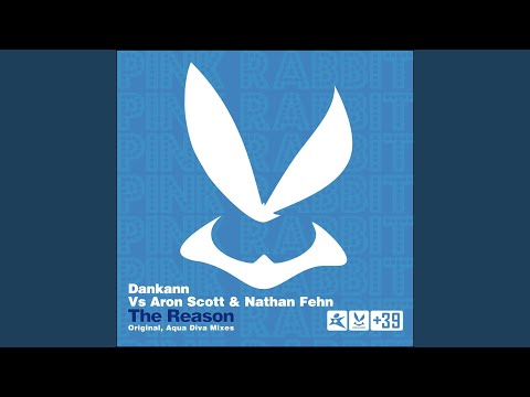 The Reason (Aqua Diva Remix)
