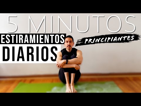 Stretching Routine for Beginners || 5 Minutes a Day