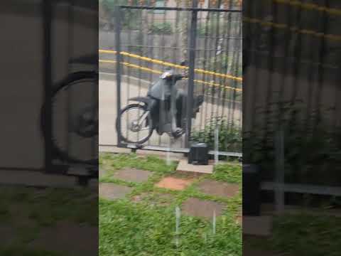 chuva com granizo, raios e trovões em Santa Maria Madalena RJ. 4.11.2025.