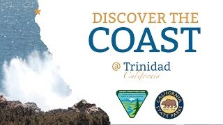 preview picture of video 'Discover the Coast @ Trinidad'