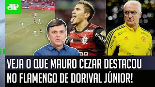 ‘Um detalhe interessante do Flamengo do Dorival é…’: Mauro Cezar faz análise